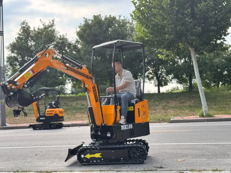 1 Ton Mini Crawler Excavator for Sale