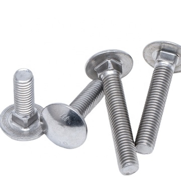 Wholesale DIN 603 Stainless Steel Carriage Bolts: Big Head and Half Carriage Types