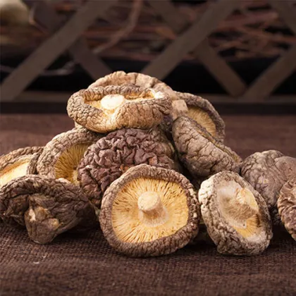 Sweet Morel Style Storage GAP Color