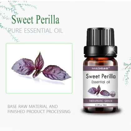=sweet perilla essential oil organic Sweet Perilla oil