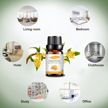 Wholesale Massage Oil 100% Pure Osmanthus Essential Oil