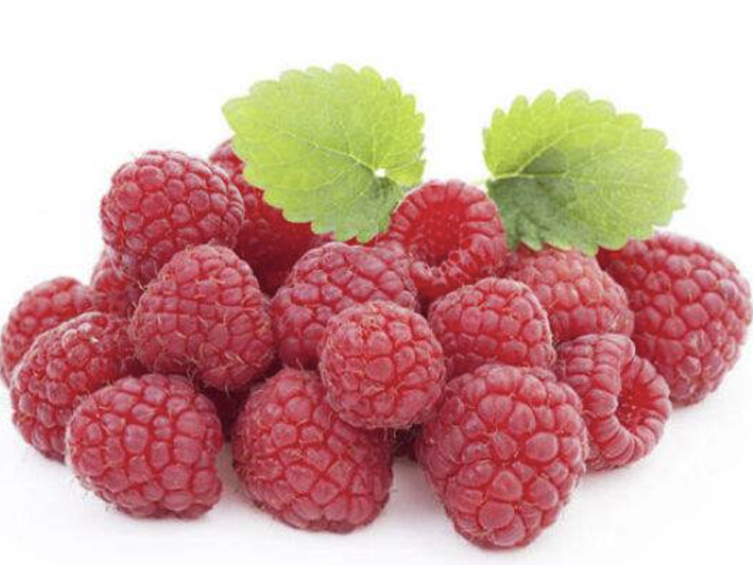 Raspberry Extract Powder Supplier