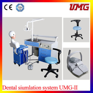 China Dental Equipment Dental Training Model