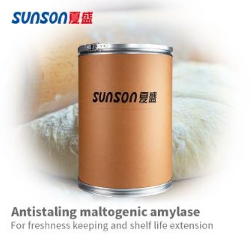 Amylase maltogène SBE-01FR pour un gardien frais