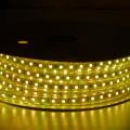 Dimbare LED Strip Licht Daglicht 120V