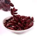 Red Kidney Beans Brytyjskie czerwone przynęty na nerki