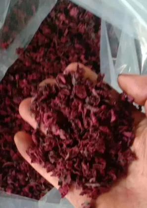 AD purple sweet potato used for noodle