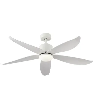 BLDC motor ceiling fan with light