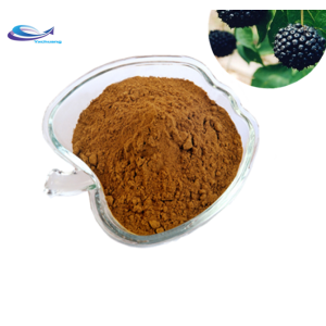 Supply High Quality Siberian Ginseng P.E.