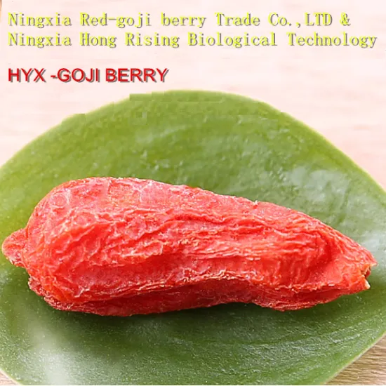 Chinese red gojiberries of factory for good healthy