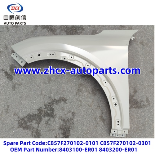 Fender pro Changan Deenal S05
