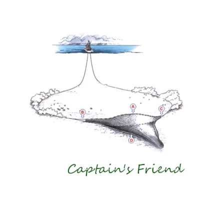 Generic Fishing Danish Seine