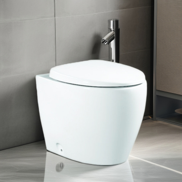 Modern Floor Standing White Ceramic Toilet Bowl WC Set