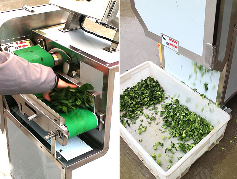 heavy duty vegetable cutting machine
