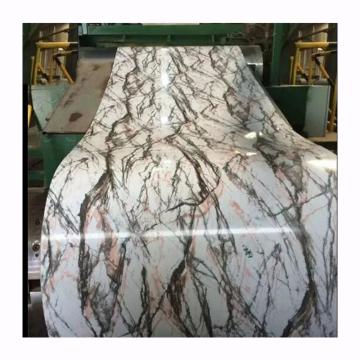PPGI Coils: Prepainted Galvanized Steel Flowers & Printed Steel Coils