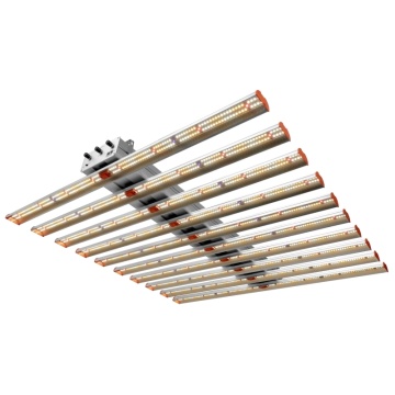 1000W 10 bar led grow light