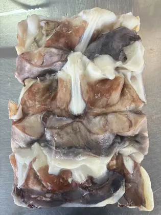 High-Quality Seafood: Peruvian Squid, Frozen Giant Squid Necks, Seafrozen Squid Neck Source
