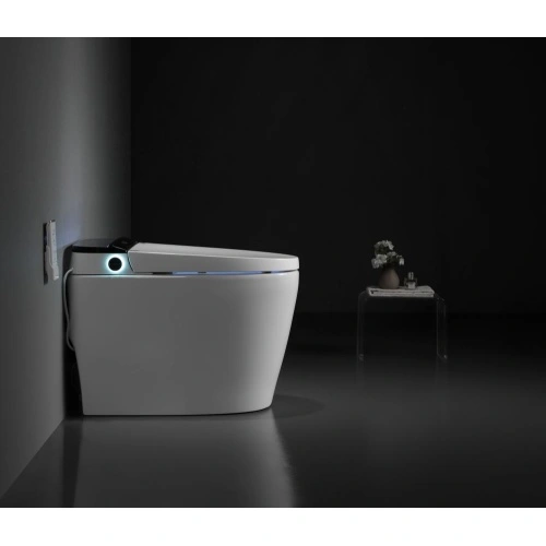 Inodoro inteligente, inodoro de bidé de una pieza para baños, inodoro  alargado moderno con agua tibia, descarga automática doble, operación del  sensor