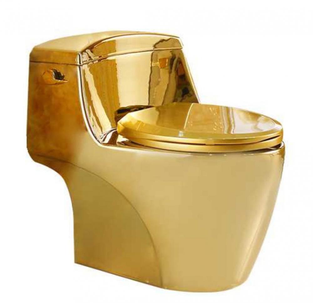 G1015gold One Piece Toilet