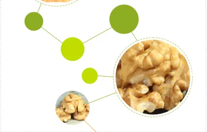 Thin skin quality walnut pregnant women preferred