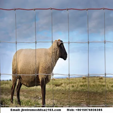 Low Carbon Steel Wire Weave Kraal Network