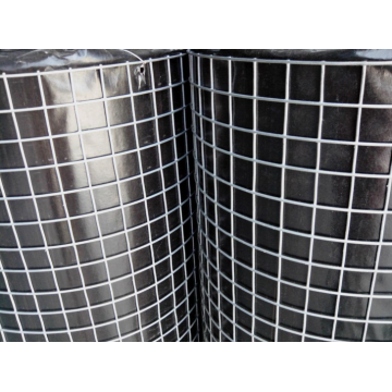 6x6 10/10 welded wire mesh