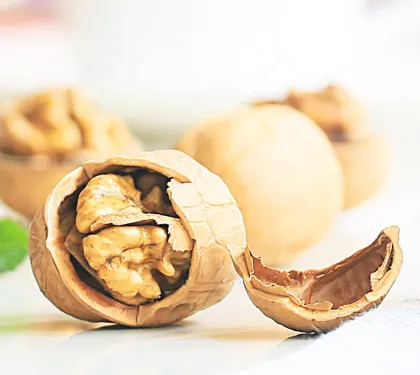 Agolyn walnut brand paper shell walnut