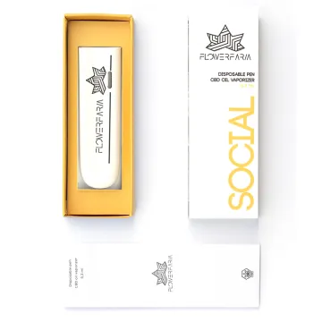 Custom CBD Pod Vape Boxes