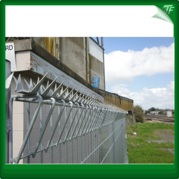 Eco friendly galvanized  welded mesh fence