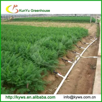 drip irrigation/drip tape/greenhouse equipment