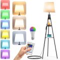 Remote control RGBW LED llight bulb lamps