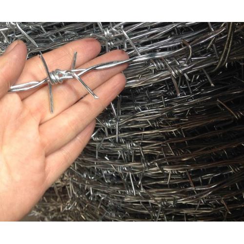 Used galvanized barbed wire for sale