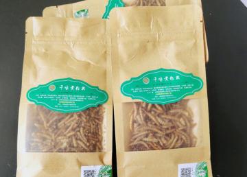 good natural fish food