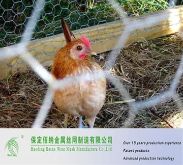 China Chicken Wire Fencing Panels