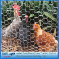 Hot diped galvanis Heksagonal Wire Mesh