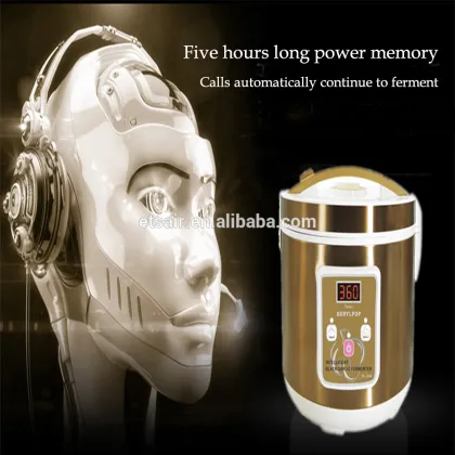 Wholesale Stainless Black Garlic Fermenting Machine Black Garlic Fermenter Black Garlic Fermentation Box