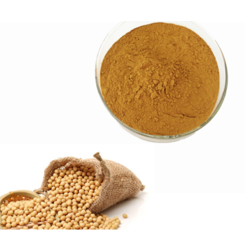 High Content Yellow Soybean Extract Phosphatidylserine