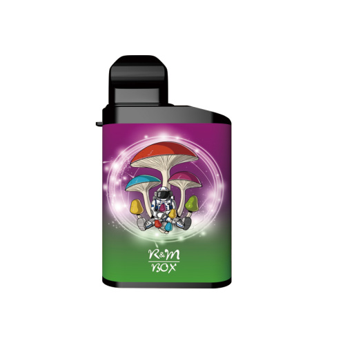 Vape Pen 850 mAh 10ml 5000Puffs Electronic Cigarette