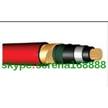 High Quality Voltage6/10 12/20 18/30 KV XLPE Insultaed  N2XSY Cable DI
