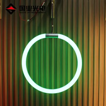 Custom 24V D25mm Round Silicone LED Neon Flex Light - 360 Degree Moldable