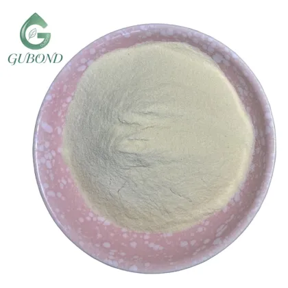 Sunflower Seed Protein for Commercial Food Manufacturing