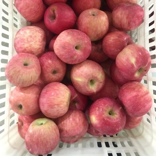 Chinese Top Quality Fuji Apples China Manufacturer