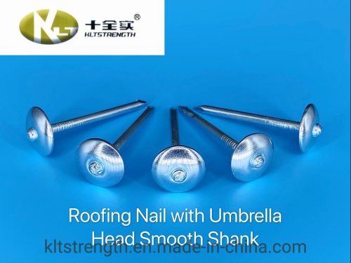 Roofing Nails with Umbrella Head