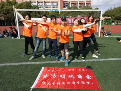 Snacks Potato Chips Pillow Bag Packing Machine