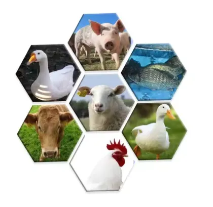 D-Calcium Pantothenate for feed