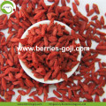 Pemakanan Wolfberry Organik Merah kering