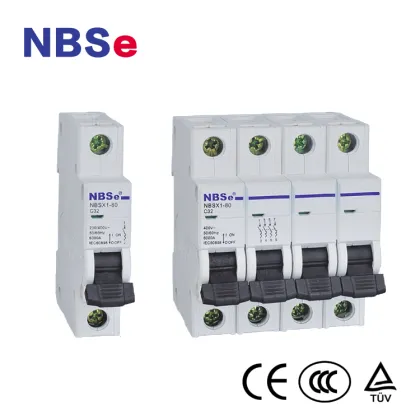Best Quality Delixi 2P Micro Circuit Breaker DZ47S