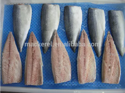 Frozen Wholesale Natural Mackerel Fish Fillet For Export