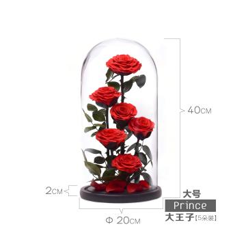 Large Prince 5 Preserved Rose Glass Dome