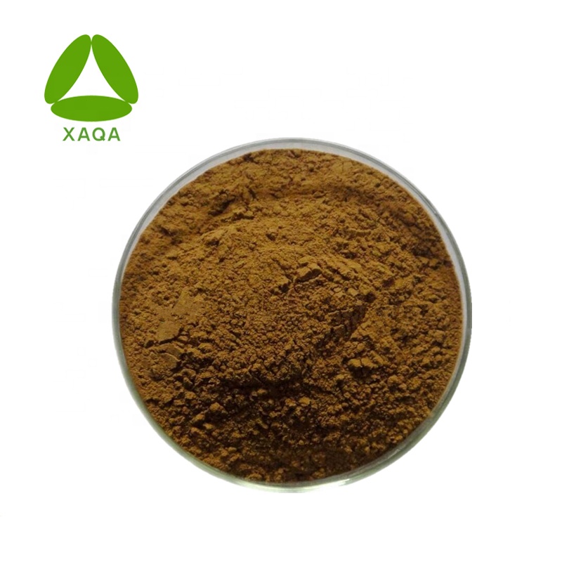 Pure Natrual Atractylodes Macrocephala Extract Powder
